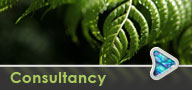 Consultancy